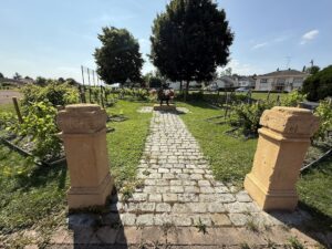 IMG_3092-copie-300x225 Photos