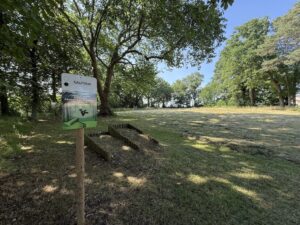 IMG_3122-copie-300x225 Photos