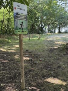 IMG_3123-2-225x300 Photos